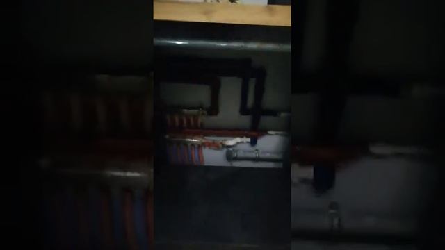 Обзор кухни в цвете Бетон + дерево. смотреть онлайн