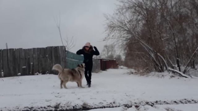 Акробатический рок-н-ролл))) смотреть онлайн