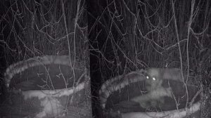 КОЛОДЕЦ МЕРТВОЙ ВЕДЬМЫ WELL OF THE DEAD WITCH УСТАНОВИЛ КАМЕРЫ INSTALLED CAMERAS