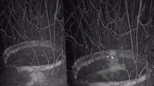 КОЛОДЕЦ МЕРТВОЙ ВЕДЬМЫ WELL OF THE DEAD WITCH УСТАНОВИЛ КАМЕРЫ INSTALLED CAMERAS