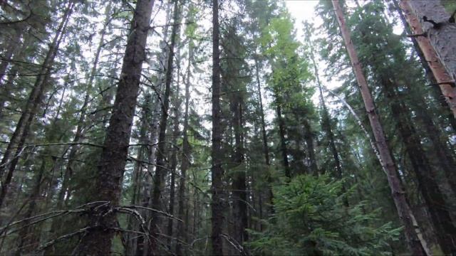 The mystery of kummakivi, the "strange rock" in Finland смотреть онлайн