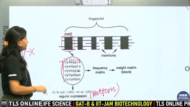 Basics of Bioinformatics | GATE-BT , DBT-JRF | смотреть онлайн