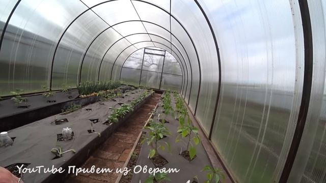 Три вида теплицы: летняя, утепленная, зимняя. Обзор и преимущества смотреть онлайн