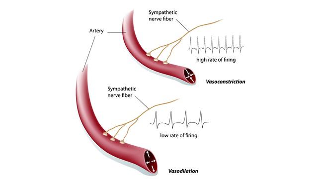 התעלפות: מאפיינים, גורמים ושכיחות смотреть онлайн