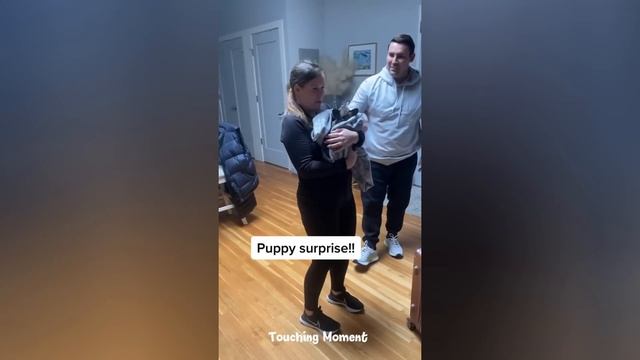 Best New Puppy Surprise Compilation #59 | Touching Moment смотреть онлайн