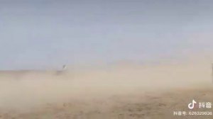 В Китае проводились скачки. Победила лошадь с Казахстана.