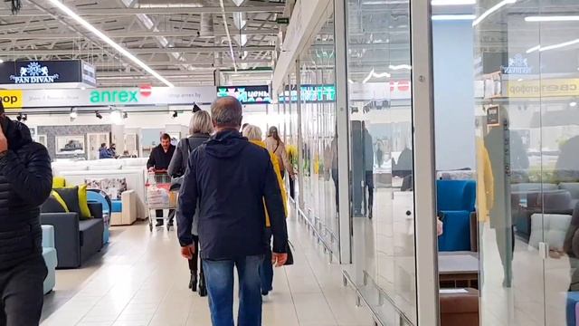 Шопинг для котика и где купить клей для слайма