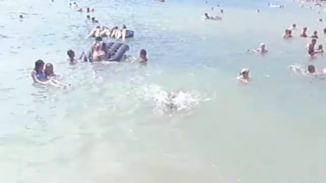Вот как надо нырять в море ! смотреть онлайн