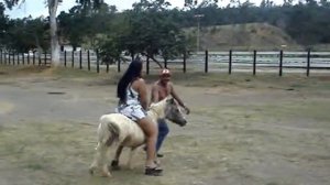 queda do poney