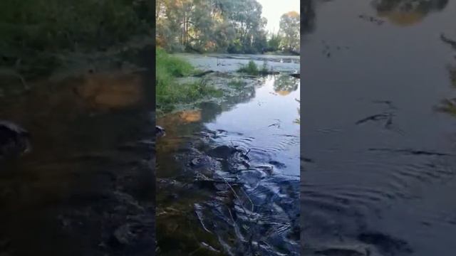 Родник / Fresh water смотреть онлайн