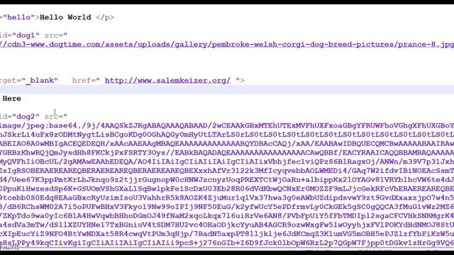 Coding HTML Websites: Div Containers 1 Organizing Data смотреть онлайн