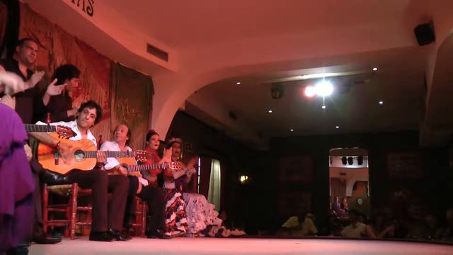 Flamenco Part 8/10