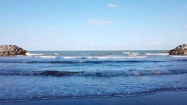Therapeutic Music for Relieving Stress, Fatigue, Depression, Negativity, Detox Negative Emotions смотреть онлайн