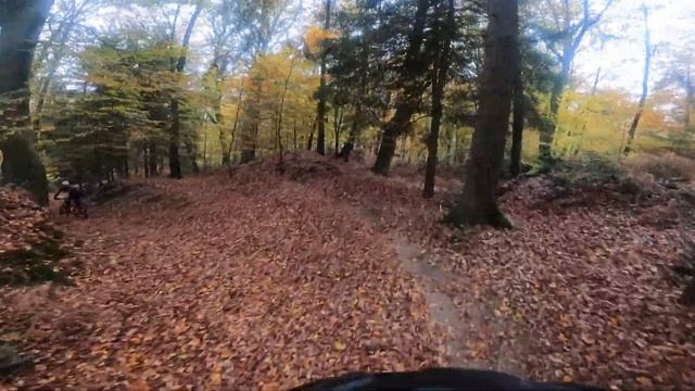 steinige-abfahrt trail (Ibbenbüren, Germany) смотреть онлайн