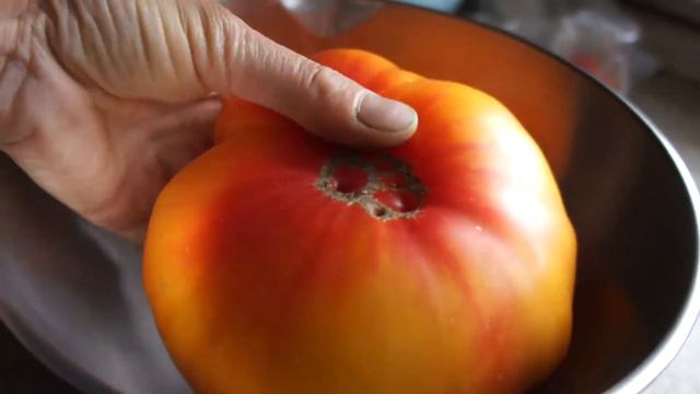 Самый крупный томат! смотреть онлайн