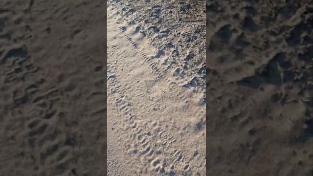 Чистый асфальт в солнечную погоду. В полях ещё снег. смотреть онлайн