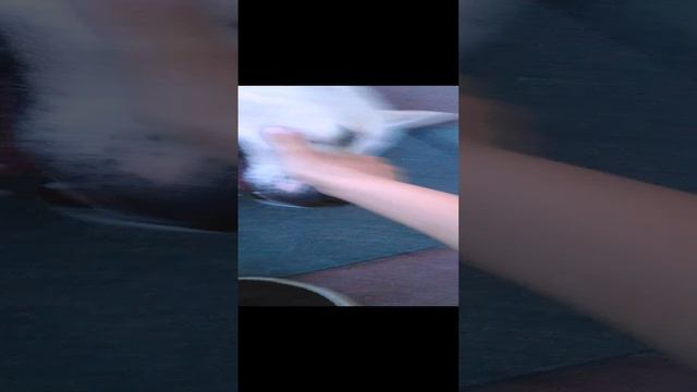 я уже 🙈 уже все смотреть онлайн