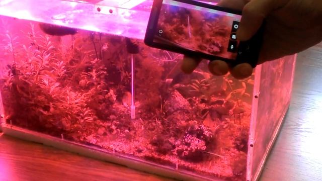 Учимся монтировать видео в Shotcut и немного о самом редакторе.  [ урок 1]