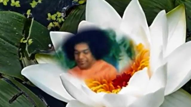 Сат Гуру Сатья Саи Баба.. интернациональный бхаджан смотреть онлайн