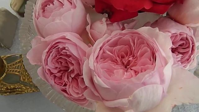 My David Austen Rose: Geoff Hamilton смотреть онлайн