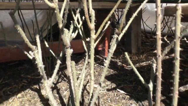 Рецепты для здоровой жизни 