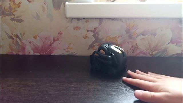 что если шуметь при Векторе? смотреть онлайн