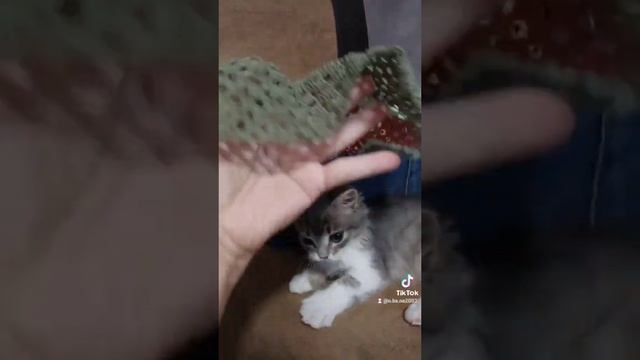 Никогда не о чём не жалейте... смотреть онлайн