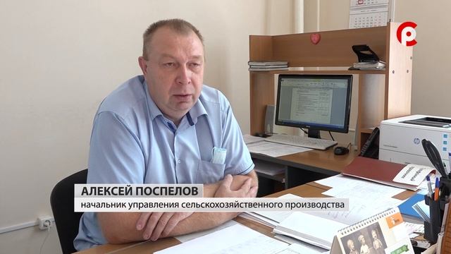 Сенокос смотреть онлайн