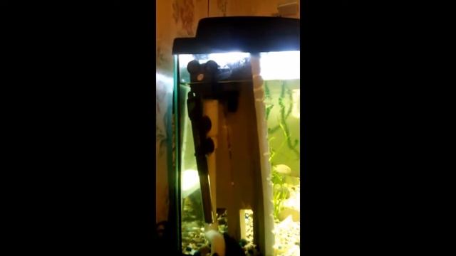 Самодельный внешний фильтр смотреть онлайн