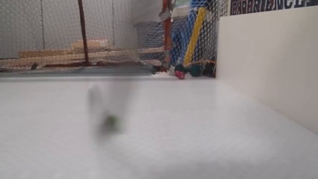 HockeyShot's Smart Hockey Ball Review смотреть онлайн