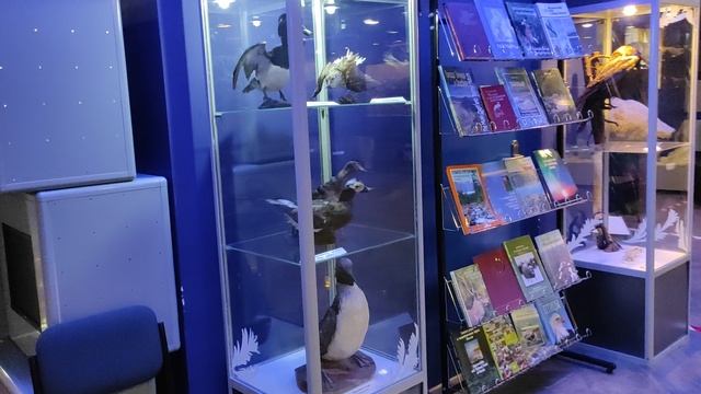 талнах музей. смотреть онлайн