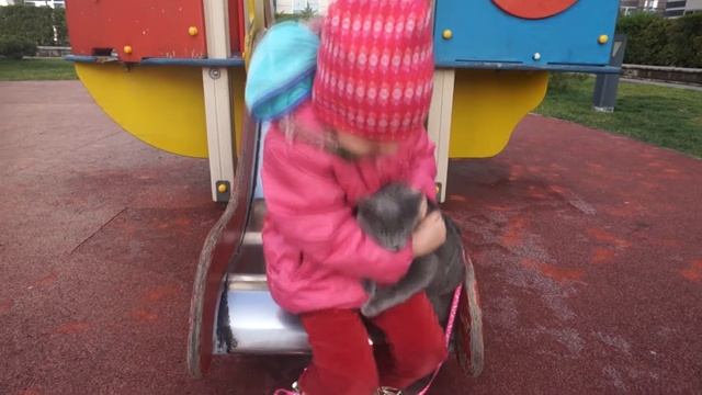 #Котёнок и ребёнок CAT and CHILD First Walk Первая Прогулка Котёнок на КАЧЕЛЯХGood Baby НА ПРОГУЛК смотреть онлайн