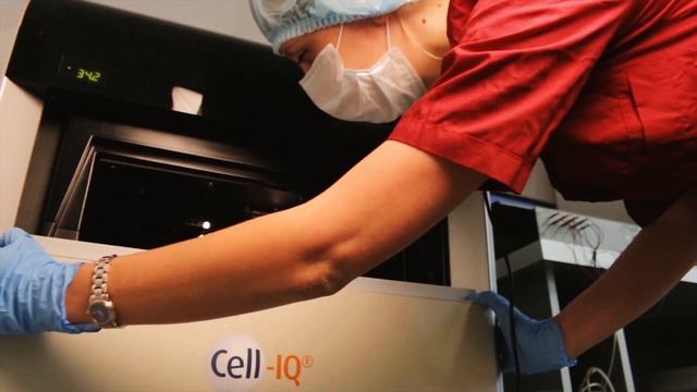 Нейромобиль: новая степень свободы смотреть онлайн