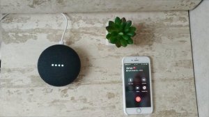 Звоню через колонку | Google duo и Google Home mini