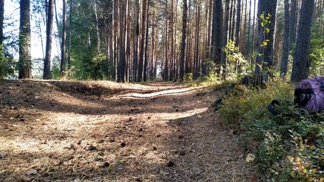 MOTOLAND XT250HS ПРОГУЛКА ПО ЛЕСУ смотреть онлайн