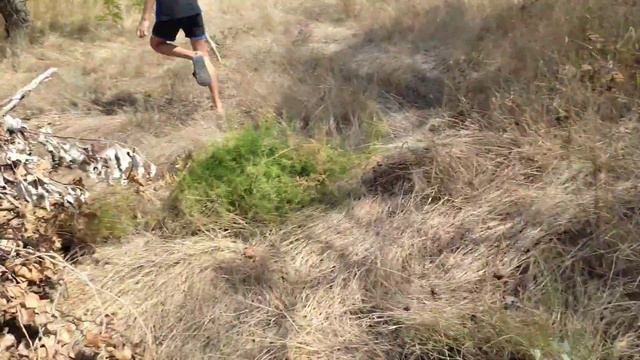 Строим беседку в лесу часть 6 смотреть онлайн