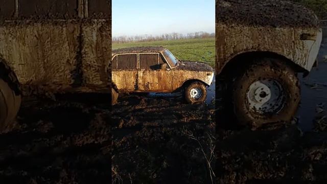 белка рулит смотреть онлайн