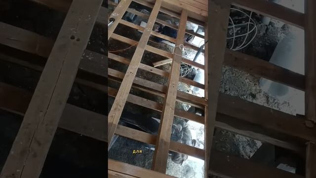 Типичный Али!