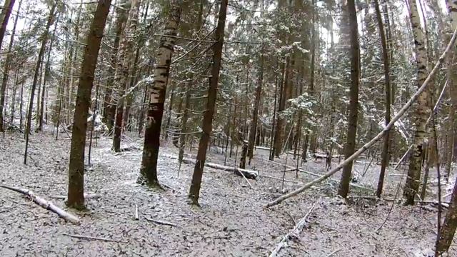 Первый выход за куницей с зсл смотреть онлайн