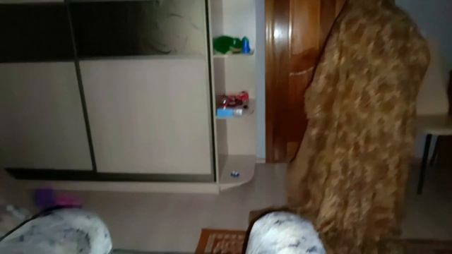 СЕРБСКАЯ ЛЕДИ ЗА НАМИ БЕГАЕТ.... ПОДПИСЫВАЙТЕСЬ❤ смотреть онлайн