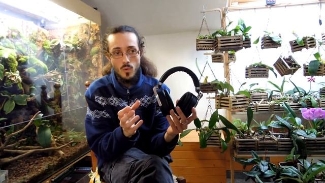 Superlux HD685: Review