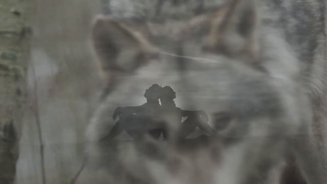 Ну целуй меня целуй смотреть онлайн