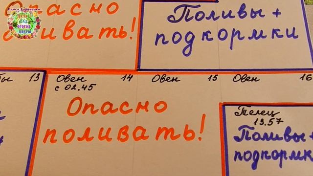 Календарь поливов растений в марте 2021 года. Агрогороскоп поливов и подкормок комнатных цветов смотреть онлайн