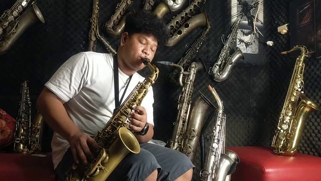 JAVA MODEL 17 ALTO SAXOPHONE ( Sampel Sound ) смотреть онлайн