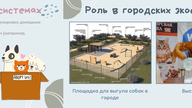 Домашние животные в городе. Экология города смотреть онлайн