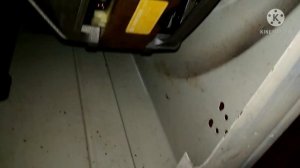 Ремонт стиральной машины INDESIT WS84TX. Устраняем гул на больших оборотах. Замена подшипника.