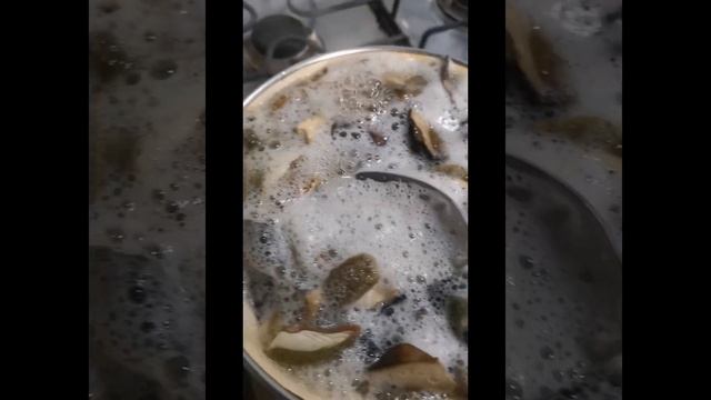 гриб дубовик 2022 год, 30 сентября ❤️❤️❤️, очень вкусно и нежно ?. смотреть онлайн