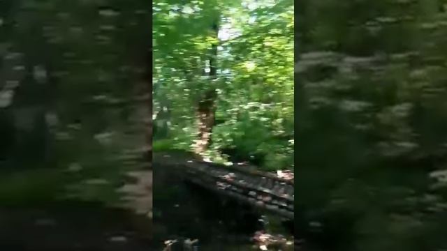 UChUV0FKH99VfQbIsvLuYZhQ #видео # поделиться # телефон с камерой смотреть онлайн