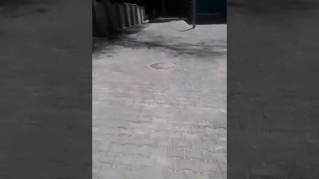 среда 26 мая 2021 года город Покров Украина Днепропетровская область 14:00 28°С смотреть онлайн