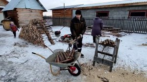 Пилим остатки валежника .